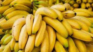 Combien de bananes pouvez-vous manger par semaine