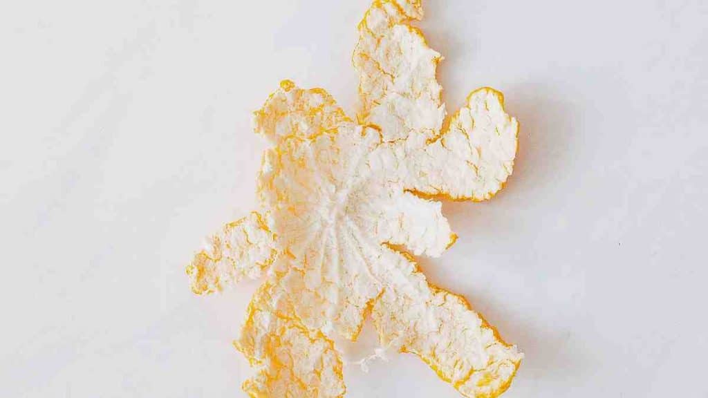 Différentes utilisations de l’écorce d’orange dans le nettoyage quotidien et dans la cuisine