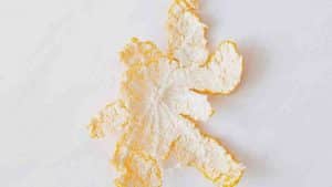 Différentes utilisations de l’écorce d’orange dans le nettoyage quotidien et dans la cuisine