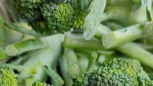 Quels sont les avantages du brocoli