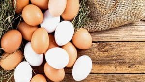 Est-il possible de combiner la consommation d’antibiotiques et d’œufs ? Qu’arrive-t-à l’organisme ?