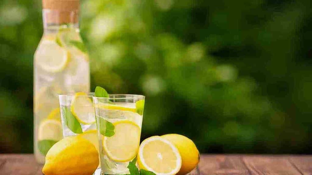Conseils pour réussir à cultiver les citrons par soi-même et profiter au maximum de ses vertus