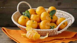 Meilleurs conseils pour obtenir des mandarines fraîches et savoureuses, astuces pour les conserver longtemps