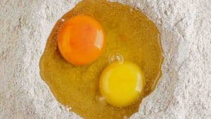 Différence entre le jaune d’œuf jaune et le jaune d’œuf orange, informations sur le régime de la poule