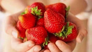 Différents bienfaits des fraises pour la santé et pour le bien-être en général