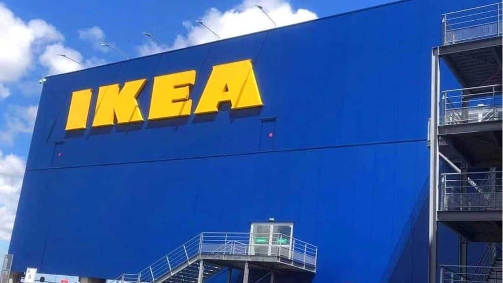 Une foule immense chez IKEA, un panier de rangement multi-usages qui fait fureur, à seulement 10 euros !
