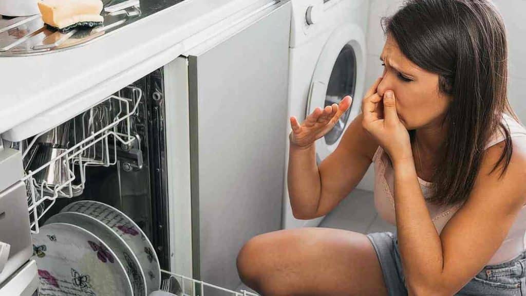 Technique la plus rapide pour se débarrasser des mauvaises odeurs dans le lave-vaisselle