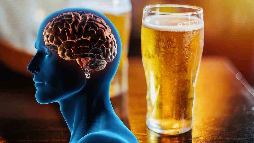 Bienfaits de la bière pour le cerveau, en boire rend-il plus intelligent ?