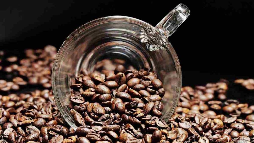 Origines et faits peu connus sur le café, la boisson la plus consommée au monde