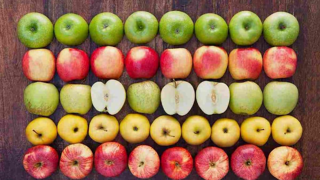 Éloigner les médecins avec une pomme par jour, est-ce une légende ou la vérité ?