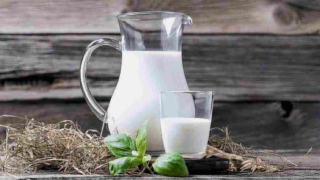 Différentes utilisations du lait périmé et ses avantages pour le quotidien, ne surtout pas le jeter