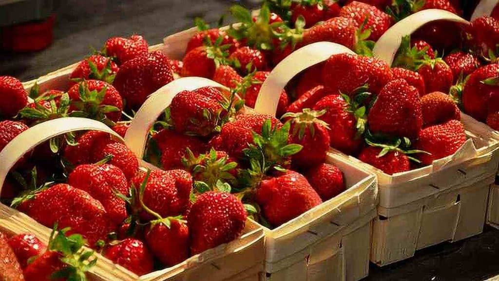 Délicieux feuilleté aux fraises de saison, idéale pour faire plaisir à tout le monde