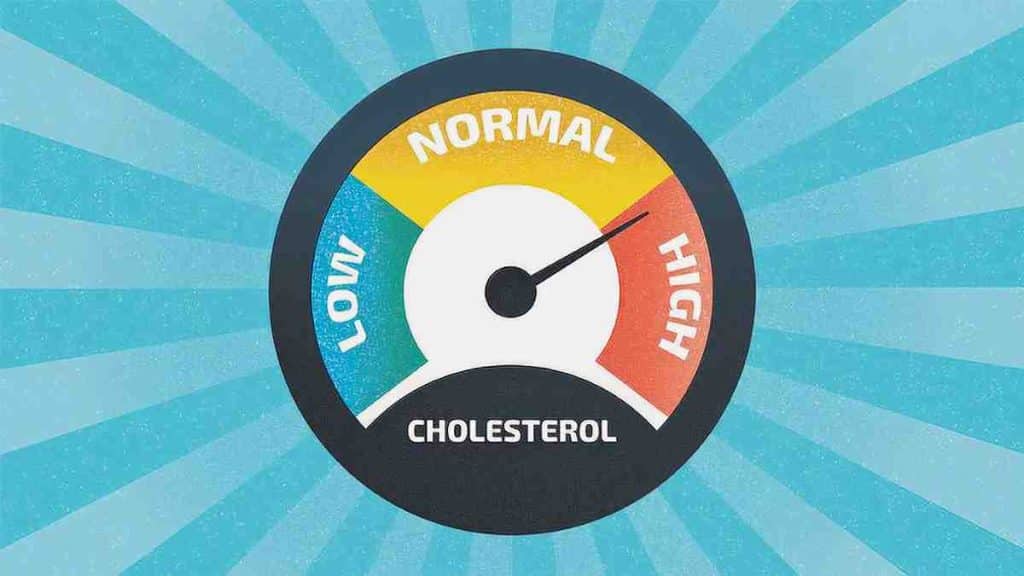 Meilleurs conseils pour réduire efficacement le taux de cholestérol dans l’organisme