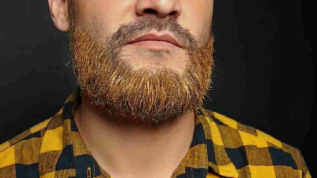 Avoir une longue barbe est-elle mauvaise pour la peau selon l’avis des experts ?  