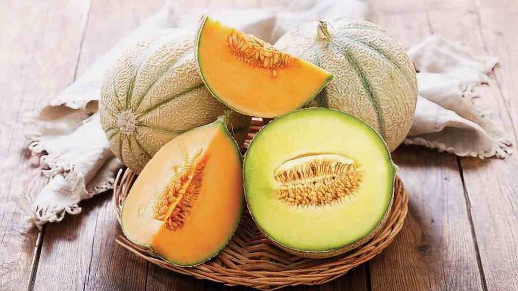 Conseils pour réussir à cultiver facilement le melon sur le balcon ou sur la terrasse