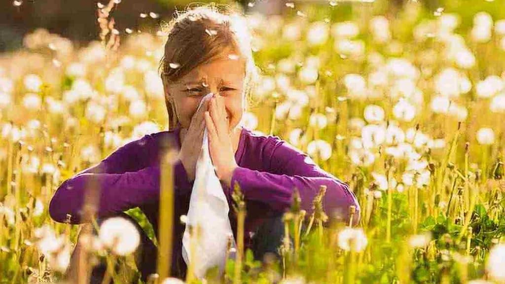 Conseils pour diminuer l’inconfort dû à l’allergie au pollen et se sentir mieux en ce printemps