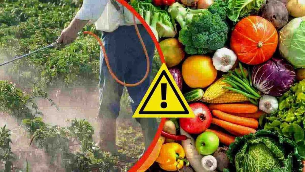 Liste des légumes et les fruits les plus contaminés par les pesticides ?