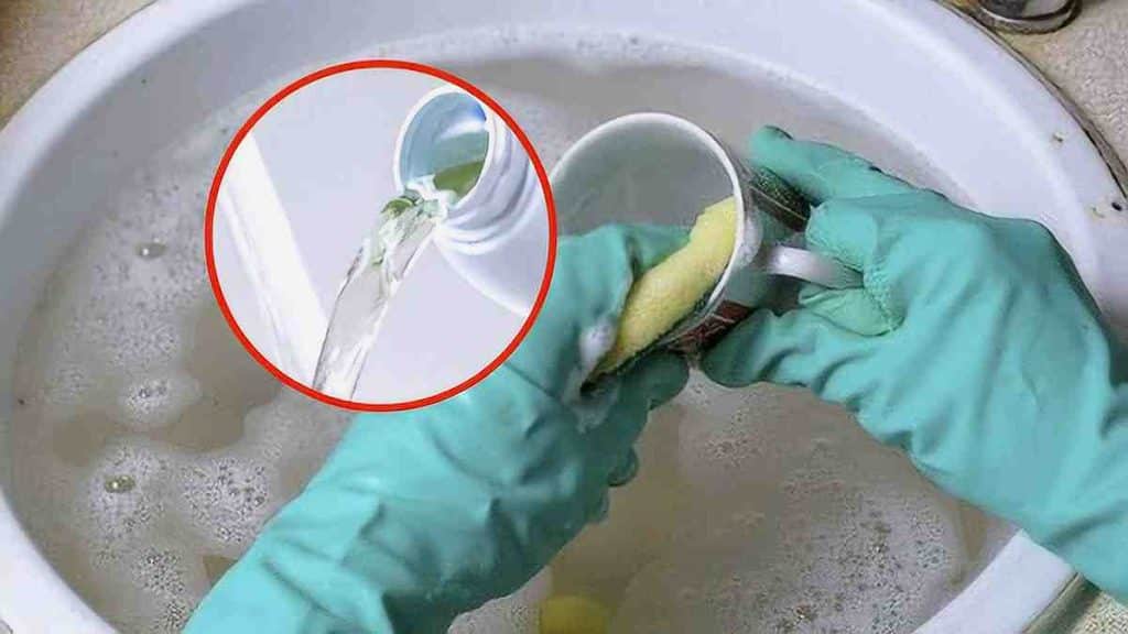 Technique infaillible pour laver et désinfecter la vaisselle en deux temps trois mouvements