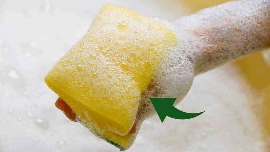 Techniques les plus recommandées pour laver et désinfecter les éponges pleines de bactéries