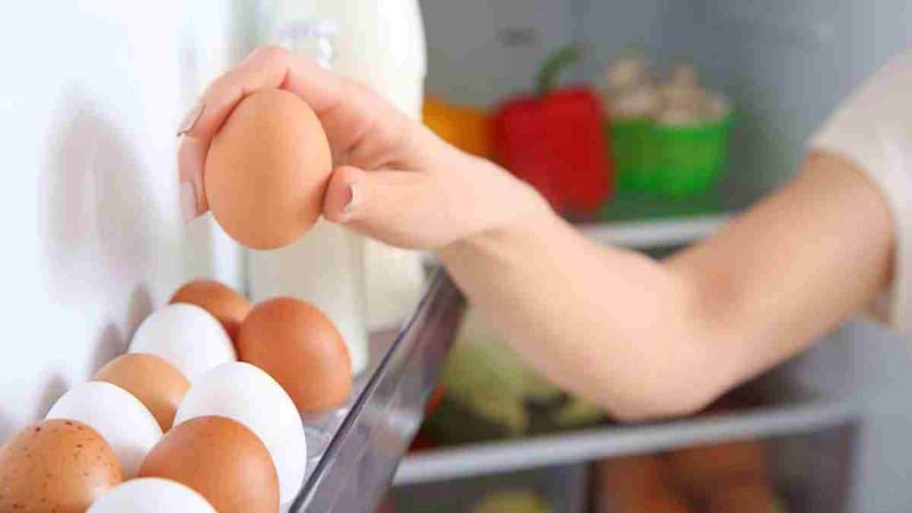 Meilleure méthode pour conserver les œufs et les garder bien frais