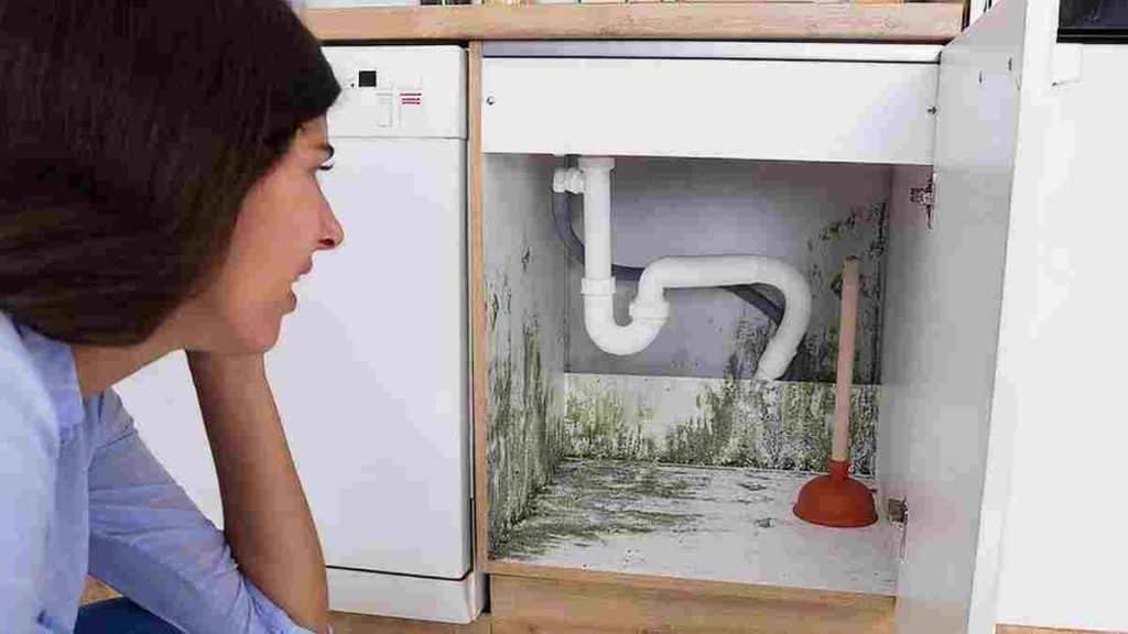 Astuces pour se débarrasser de la moisissure formée dans l’armoire sous l’évier sans utilisation de produits chimiques