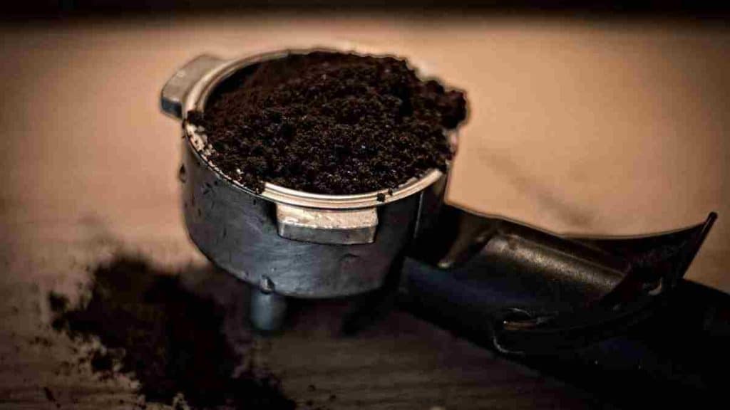 Bienfaits du marc de café sur les plantes, une astuce très utilisée par les agriculteurs