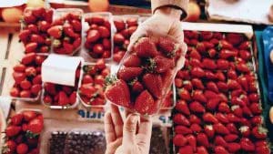 Les fraises les plus recommandées au supermarché, des fruits sans pesticides ni conservateurs