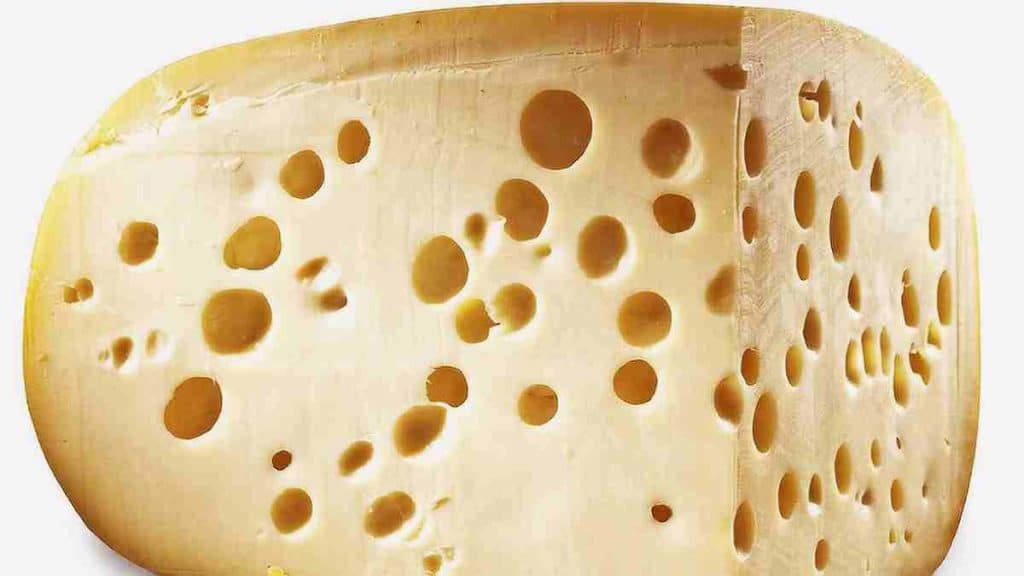 Raisons de la présence de trous sur certains fromages, explication scientifique