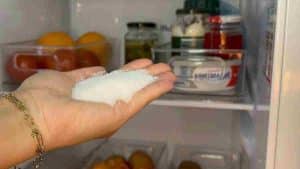 conseils-pour-nettoyer-efficacement-le-refrigerateur-et-eviter-la-proliferation-de-bacteries