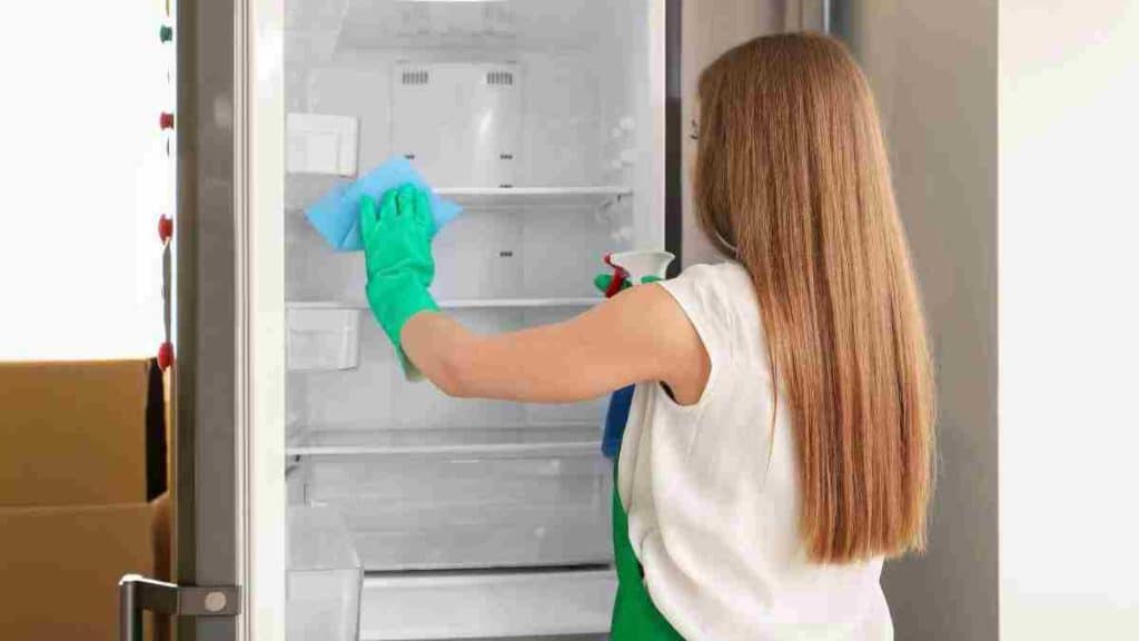 meilleures-techniques-pour-nettoyer-le-refrigerateur-et-eliminer-toutes-les-taches-efficacement