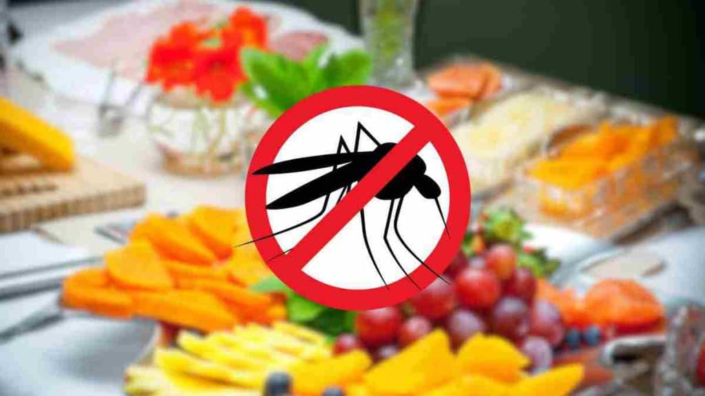un-fruit-de-saison-capable-deloigner-efficacement-les-moustiques-methode-100-naturelle