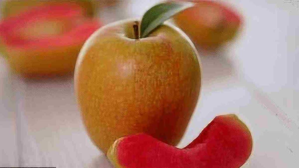 essor-des-fruits-super-sucres-les-risques-pour-la-sante-humaine-et-animale
