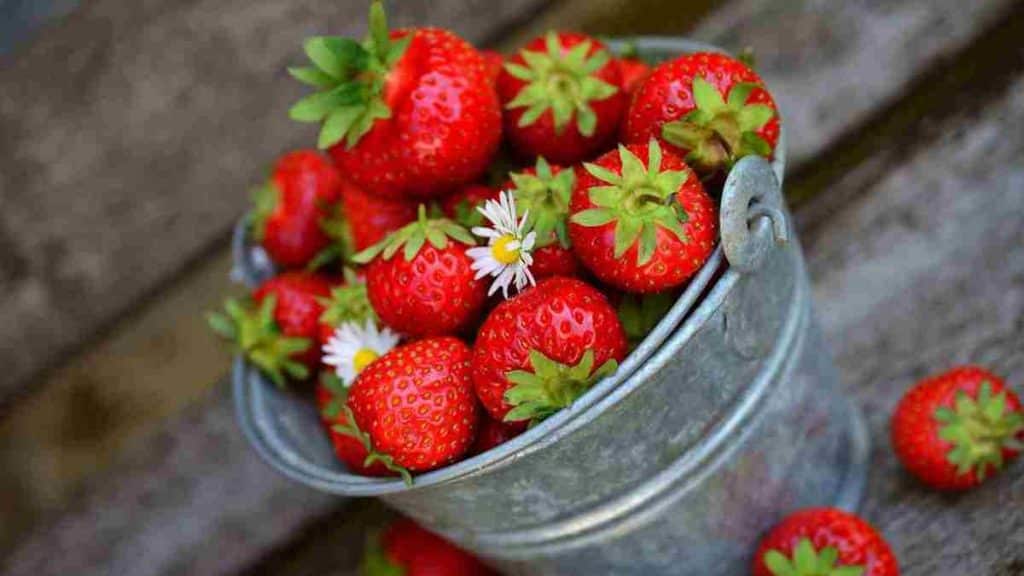 idee-de-recette-facile-et-savoureuse-a-base-de-fraises-pour-profiter-au-maximum-de-ce-fruit