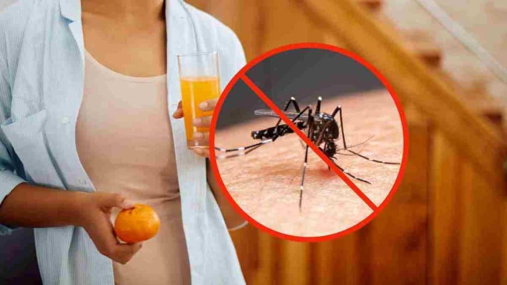 les-aliments-a-favoriser-pour-eloigner-les-moustiques-et-se-proteger-de-leurs-piqures