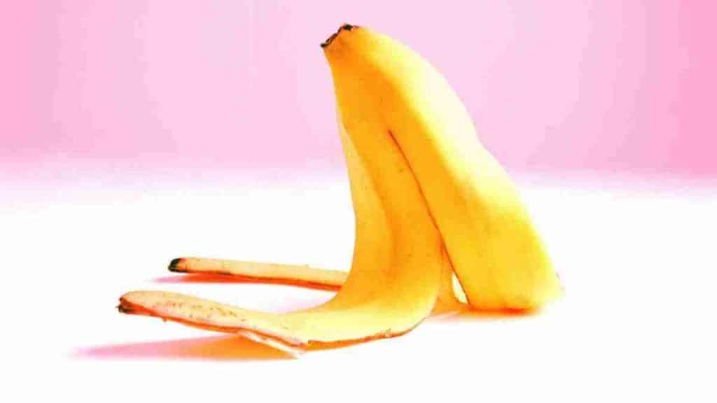 meilleures-facons-de-recycler-la-peau-de-banane-et-de-profiter-pleinement-des-nutriments-quelles-renferment