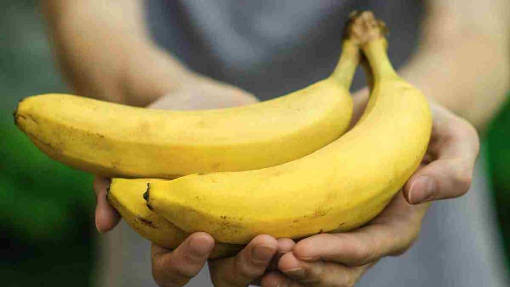 principaux-bienfaits-de-la-banane-pour-lorganisme-effets-de-la-consommation-quotidienne
