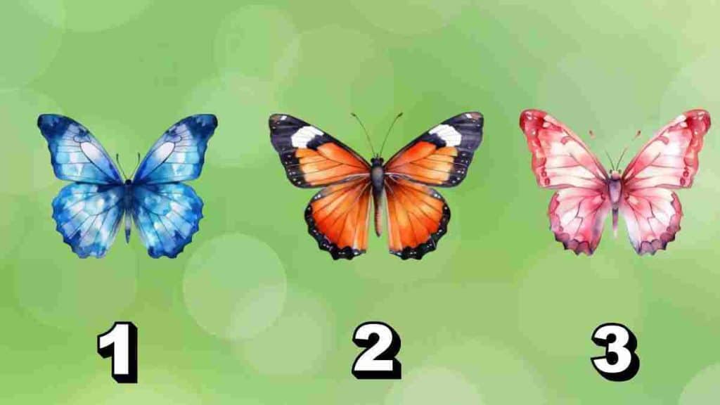 choisissez-un-papillon-pour-decouvrir-si-vous-etes-une-personne-serieuse-ou-enjouee