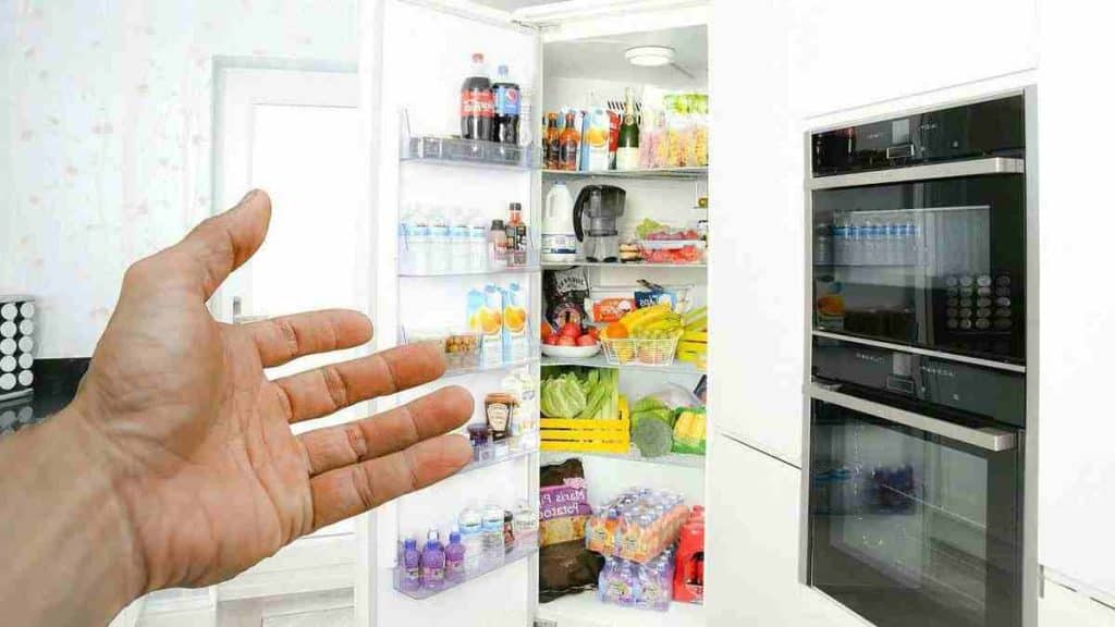 la-temperature-ideale-pour-le-refrigerateur-afin-de-mieux-conserver-les-aliments-et-assurer-sa-longevite