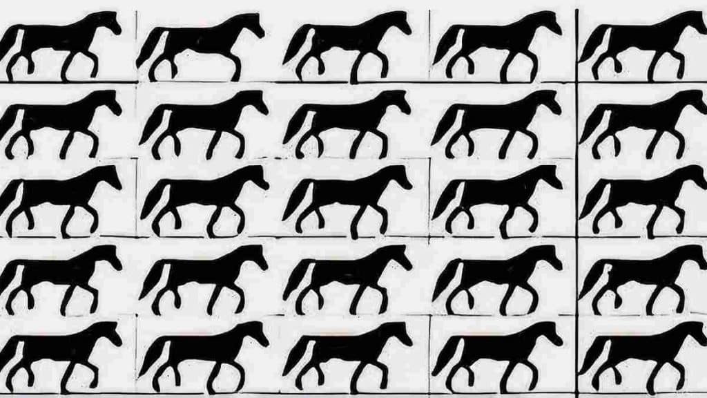 Saurez-vous repérer un cheval sans queue dans cette illusion d’optique en 10 secondes ?