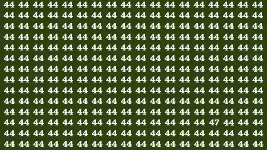 seriez-vous-capable-de-trouver-le-nombre-47-dans-cette-illusion-doptique-en-15-secondes