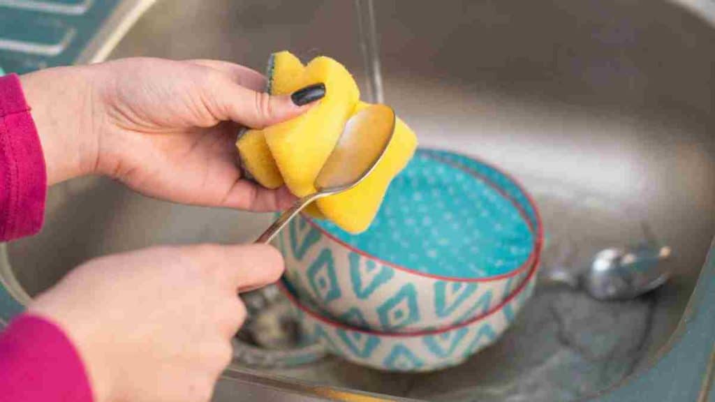 une-alternative-plus-hygienique-a-leponge-a-vaisselle-un-nid-a-microbes-et-a-bacteries
