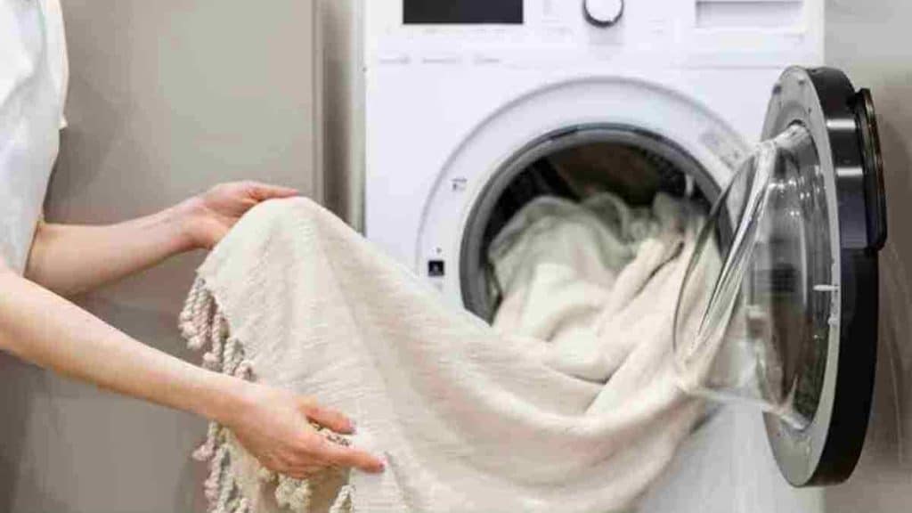 quelle-est-la-temperature-ideale-pour-laver-les-serviettes-et-les-draps-pour-se-debarrasser-des-punaises-de-lit-et-leurs-oeufs
