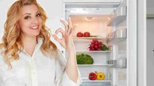 une-astuce-peu-connue-pour-garantir-une-hygiene-parfaite-de-votre-refrigerateur