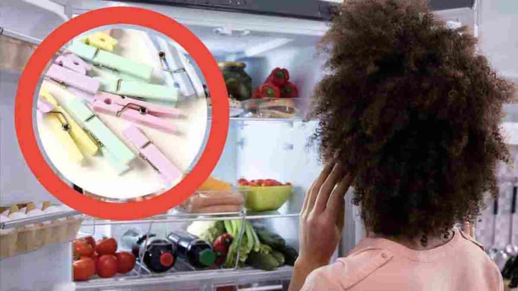 pourquoi-tant-de-gens-placent-une-pince-a-linge-dans-le-refrigerateur