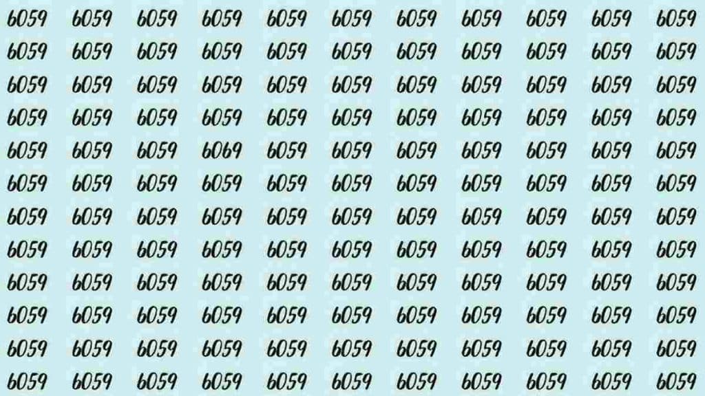 illusion-doptique-identifier-le-nombre-6069-parmi-6059-sur-cette-image-en-10-secondes