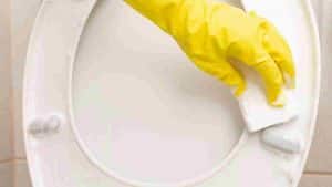 methodes-et-conseils-utiles-pour-nettoyer-un-abattant-des-toilettes-jauni