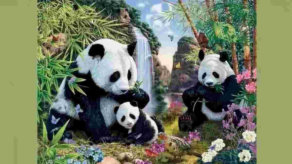 illusion-doptique-seulement-les-gens-avec-des-yeux-de-faucon-peuvent-determiner-le-nombre-de-pandas-caches-sur-cette-image-en-10-secondes