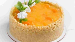 cheesecake-a-lorange-un-dessert-gourmand-leger-et-faible-en-calorie