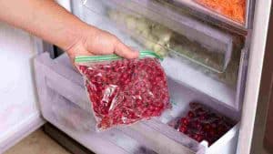 regles-essentielles-a-respecter-pour-bien-conserver-les-aliments-dans-le-congelateur