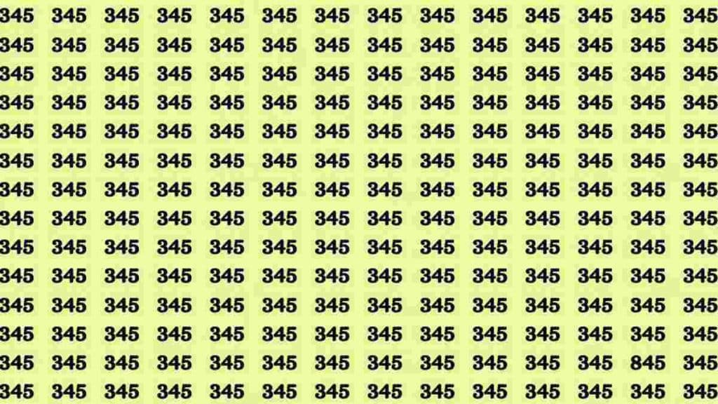 test-visuel-pour-les-plus-observateurs-trouver-le-numero-845-parmi-les-345-en-20-secondes